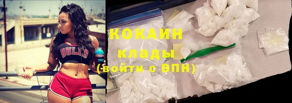прущая мука Дмитриев