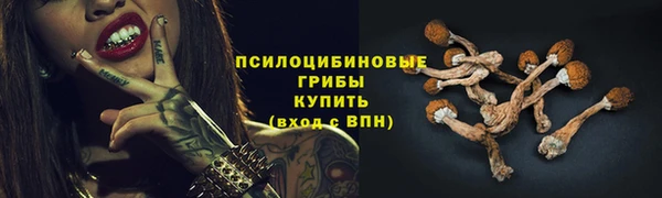 прущая мука Дмитриев