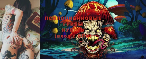 прущая мука Дмитриев