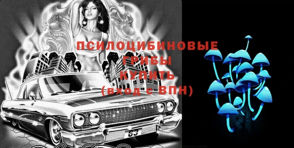 прущая мука Дмитриев