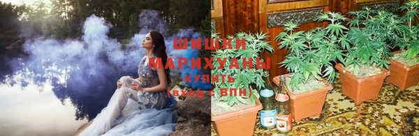 гидропоника Дмитровск