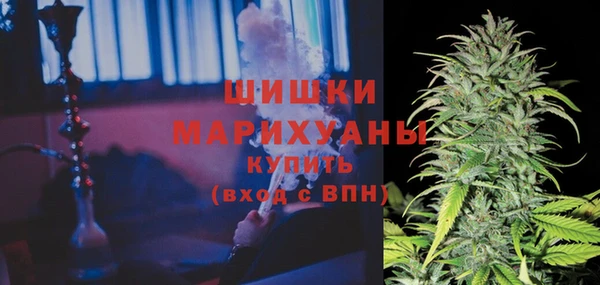 прущая мука Дмитриев