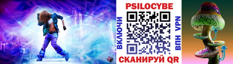 Купить где  Юрьев-Польский  Псилоцибиновые грибы MAGIC MUSHROOMS 